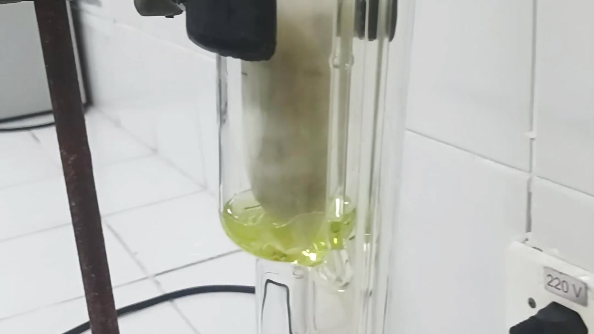 Experimento - video by Munnoki cam model