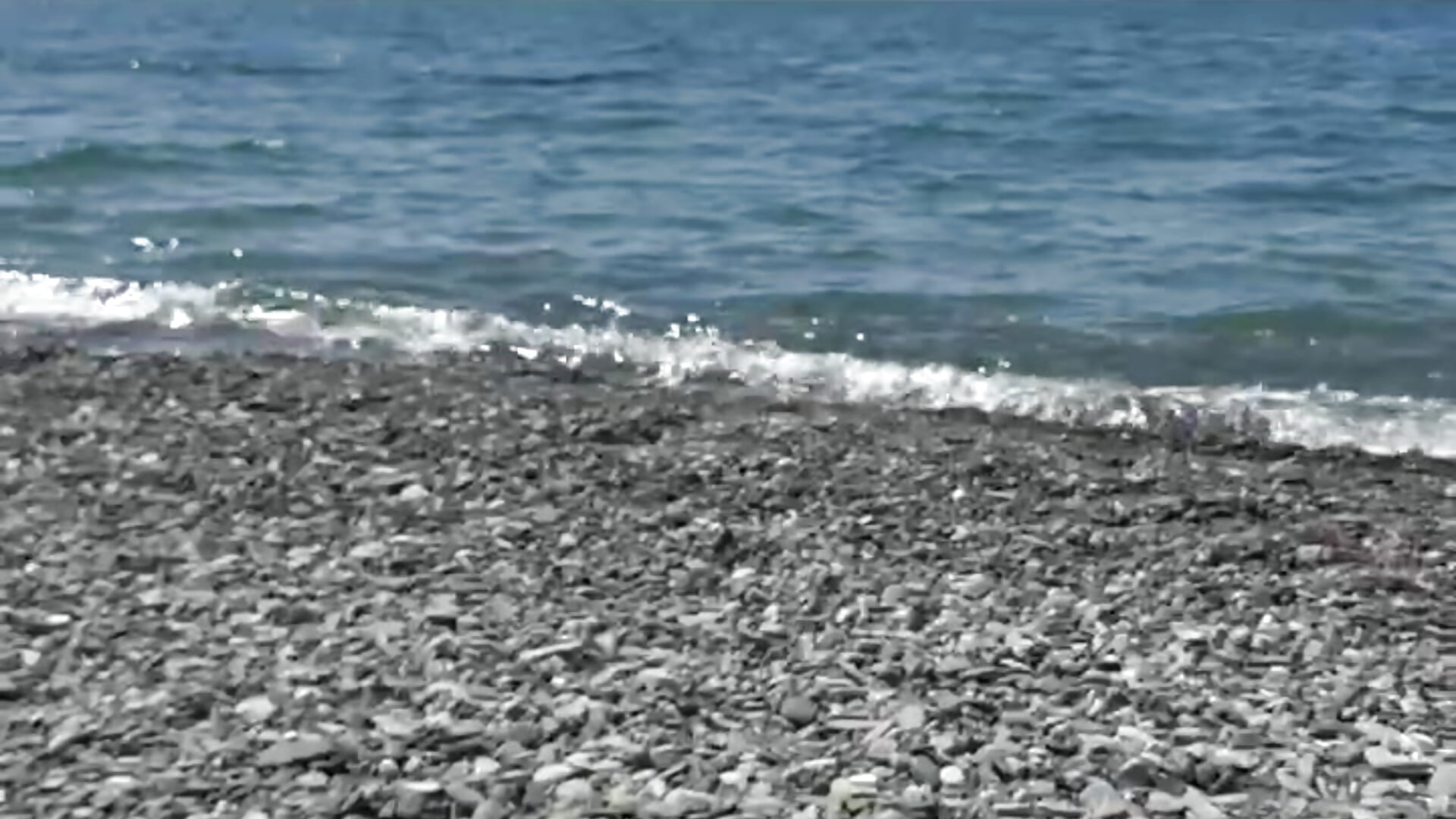 Enjoying with sea 🌊🌊🌊 - Bella_Alita主播的视频