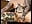 indovinello: quanti squirt si possono fare in 30min? - video di Dancing_wmyselF_