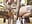 squirto e lo bevo per te porco - video di Dancing_wmyselF_
