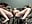 EXAMPLE OF THE VIDEO YOU GET WHEN BUYING A PAIR OF PANTIES <3 HOW WET DO YOU WANT THEM? - Video von Roxyheat Cam-Model