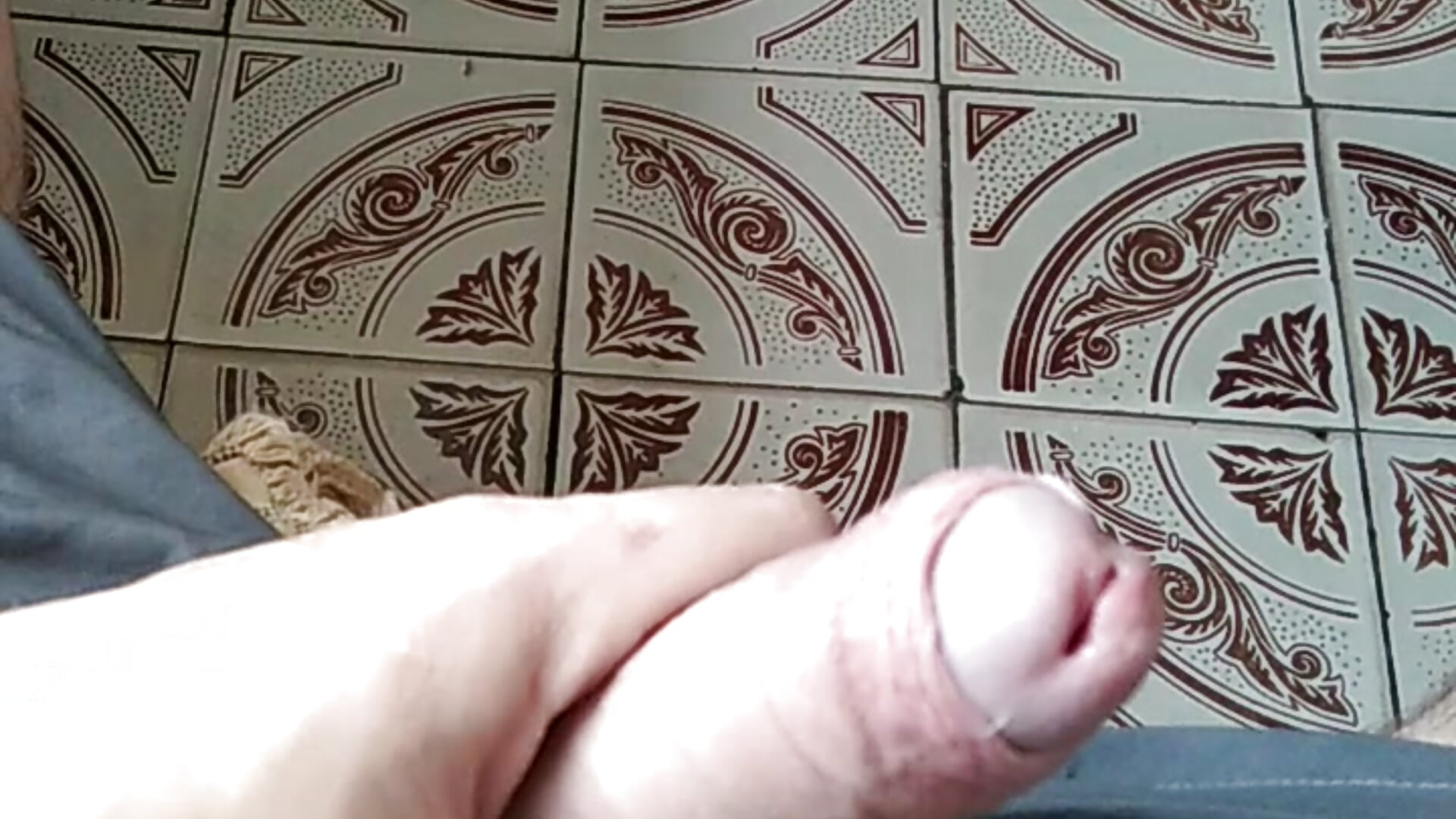 VID_20190716_111156 - video by AbovePointer cam model