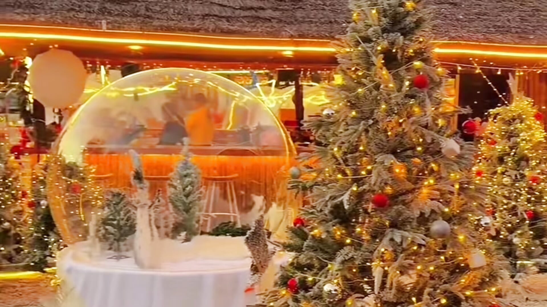 圣诞节快乐🙂 - clip cu swg176 model videochat