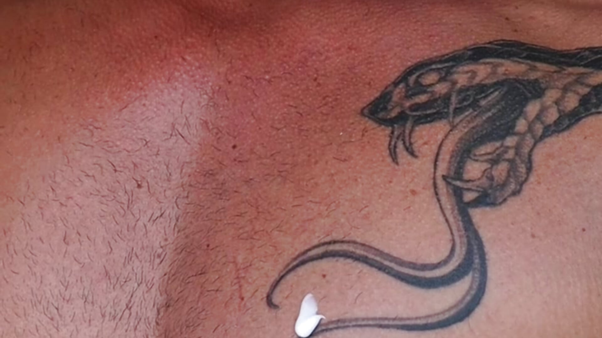 47DD0E44-39B8-4C52-91F7-3A4ED8277006 - video by Jotace001 cam model