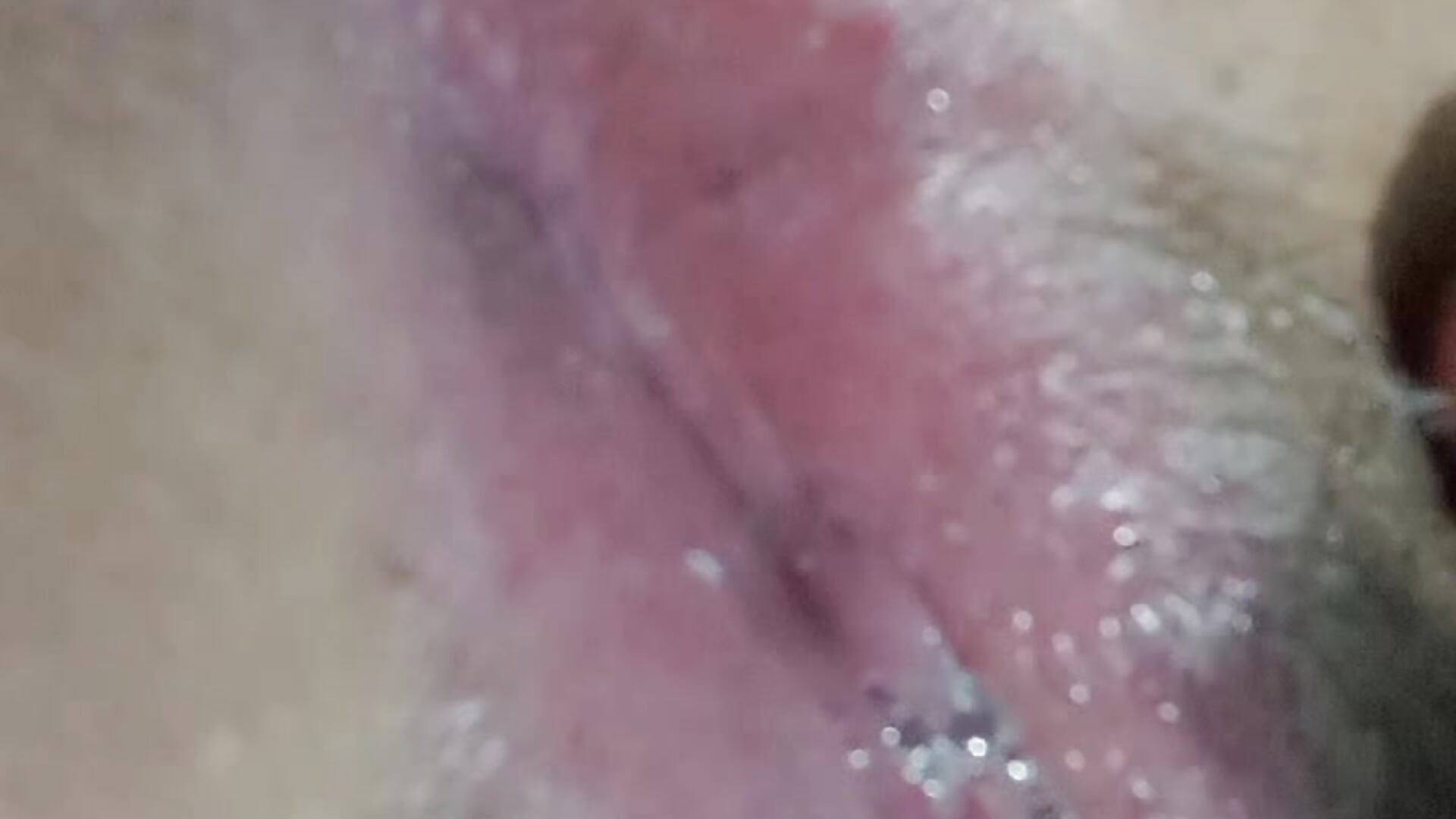 1000251727 - βίντεο μοντέλου Luna_960301