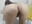 من يحب الطيز who love ass - video di Cati-persi-salvador