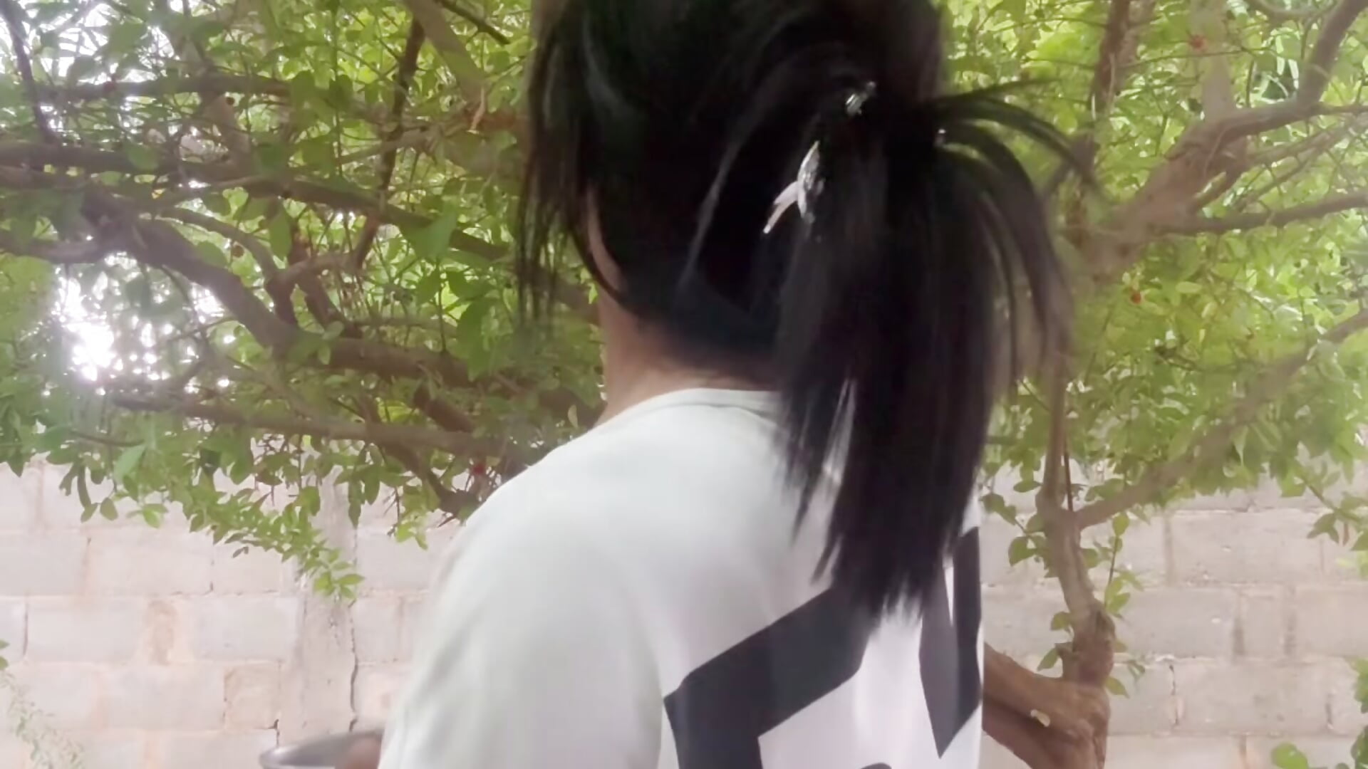 🌲 - video by Lola_Oberly_xxx