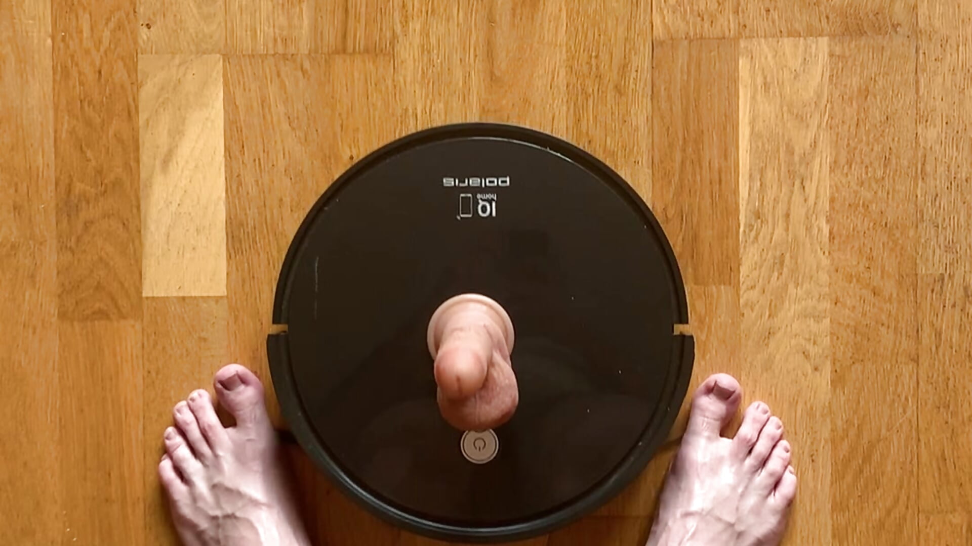 I bought a robot vacuum cleaner and I think he likes me. Has anyone encountered such behaviour? - vidéo du modèle de showcams AssHunter4k