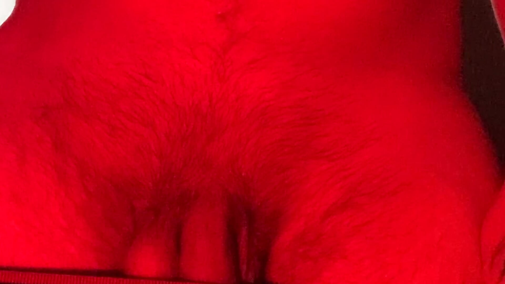 Do not forget your love ❤️ - vidéo du modèle de showcams AssHunter4k