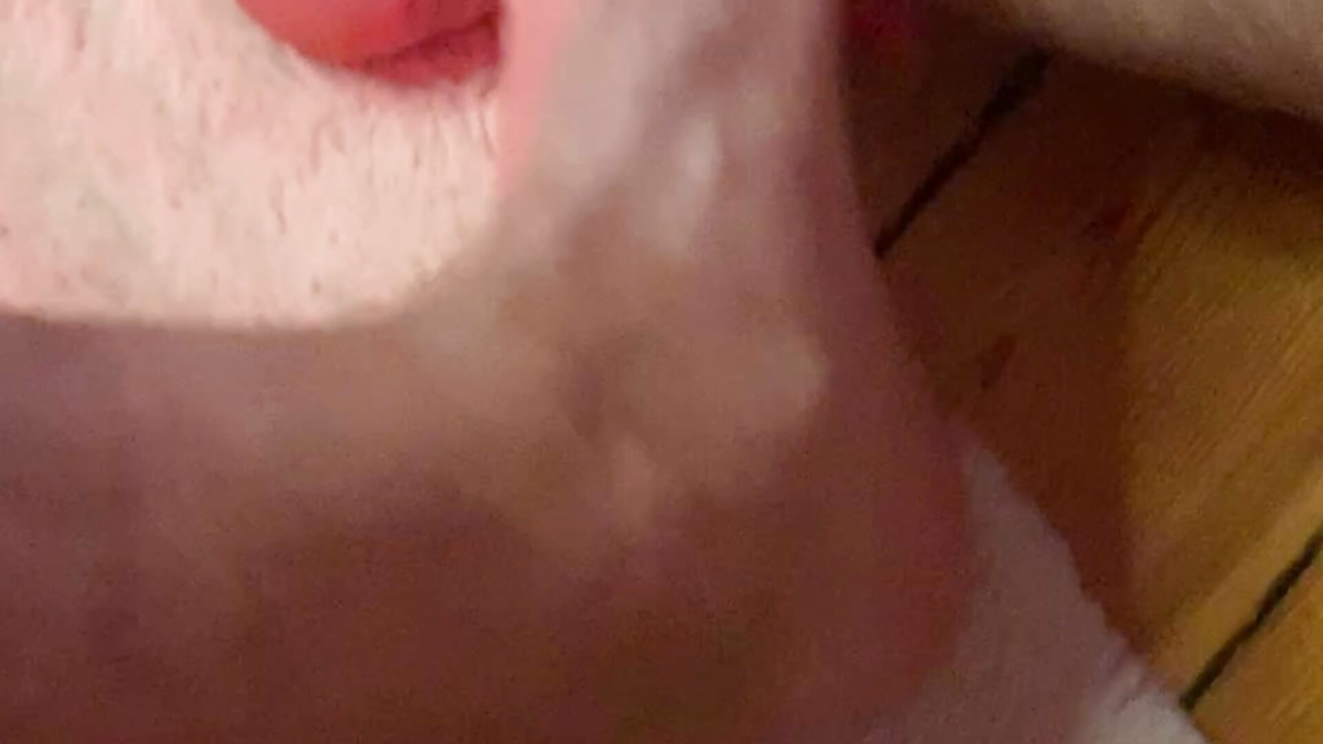 I jerk off and cum powerfully on my sweaty feet 🦶