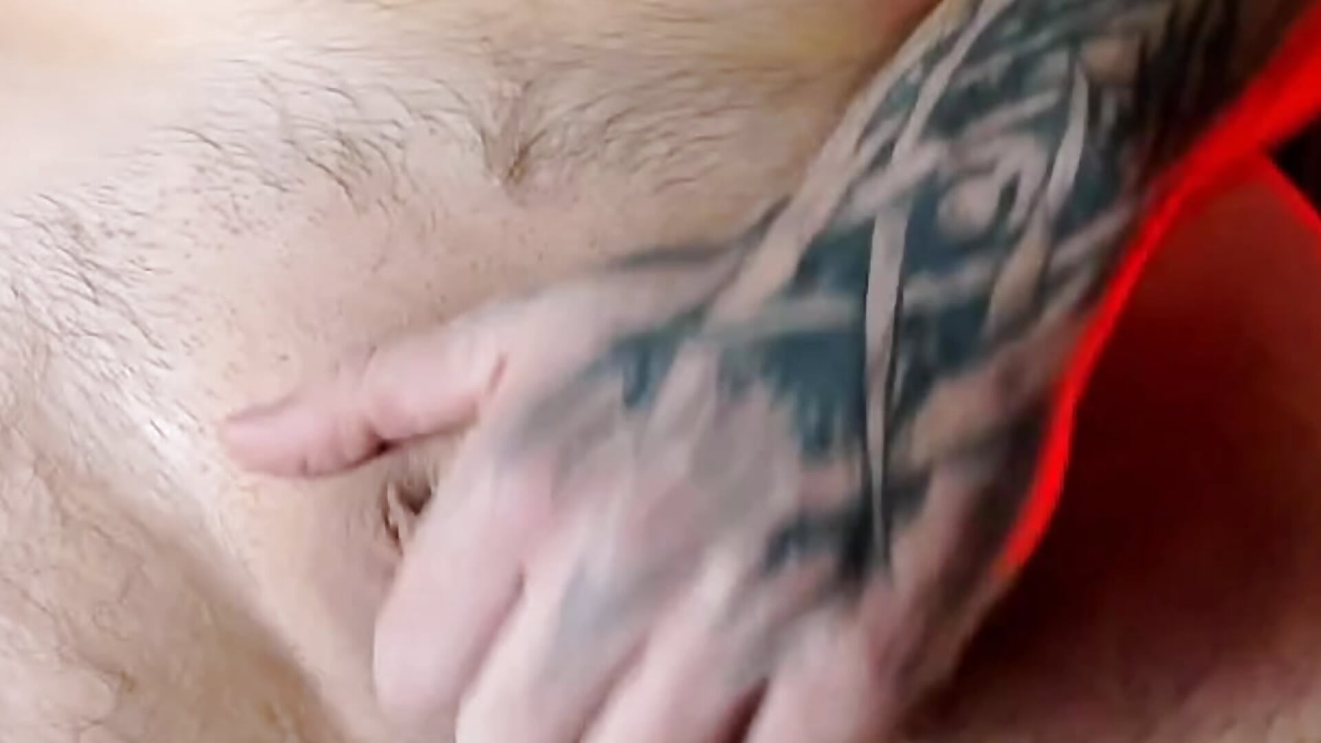 your little monkey🐒 - vidéo du modèle de showcams AssHunter4k