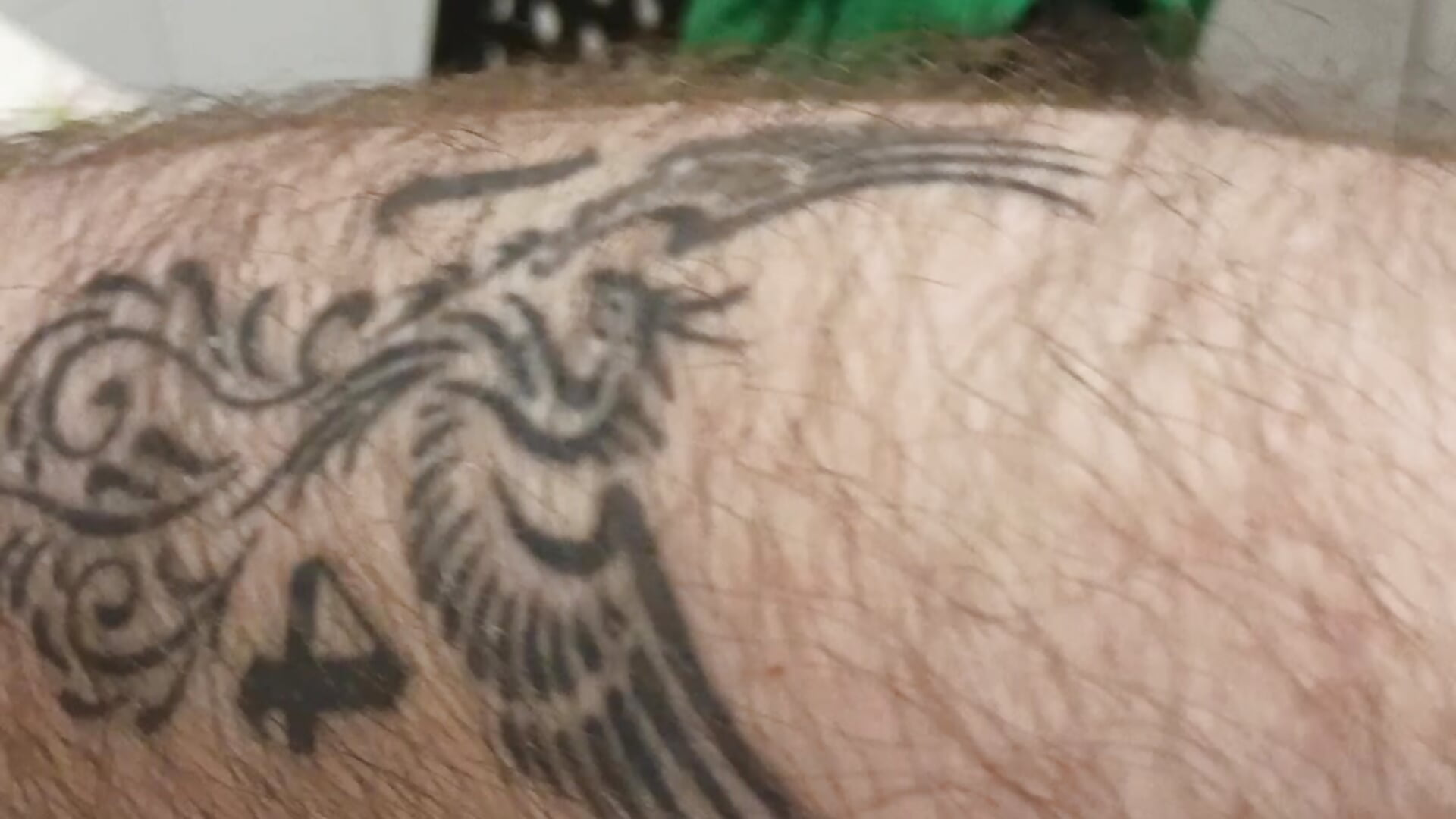 Tatooo - video by catullo14 cam model