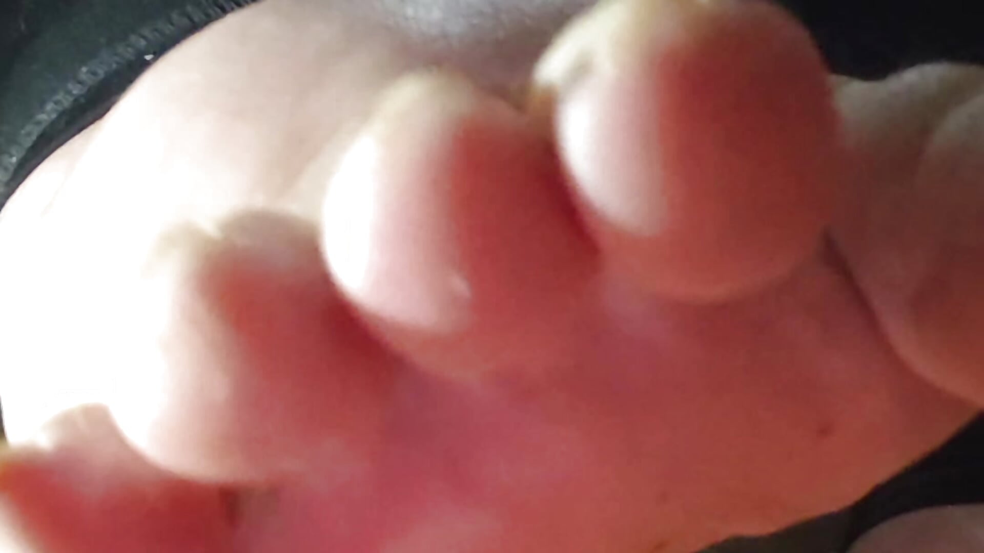 paja Pies dildo