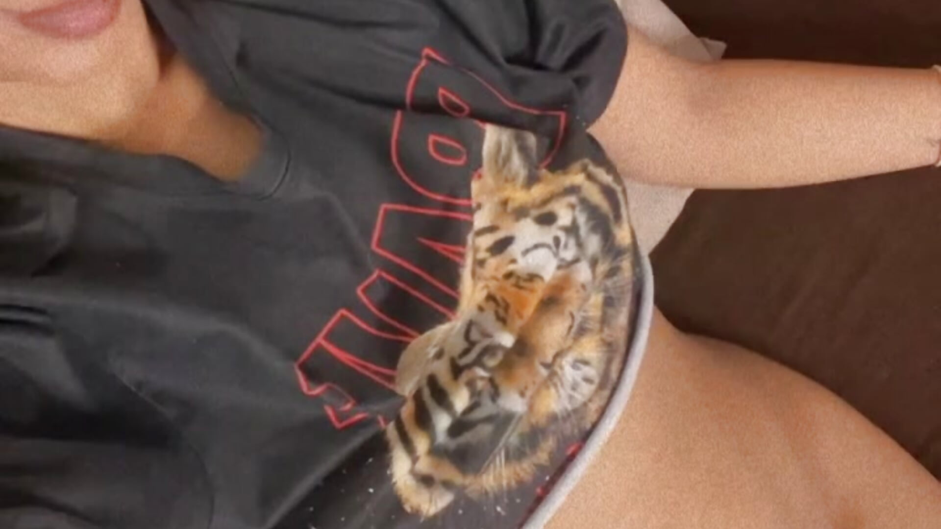 29D56780-0DBD-4192-BD06-E43DDA19C4EB – video af s_1105 cam-model