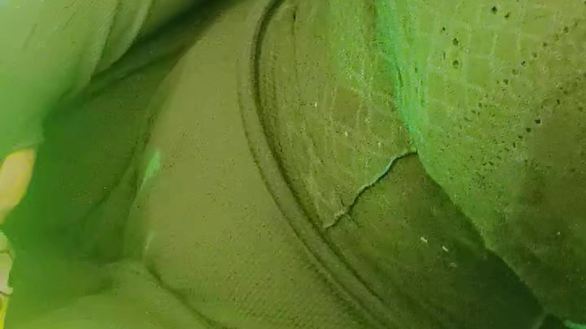 Evaa - video oleh Love_Evaa kamera model