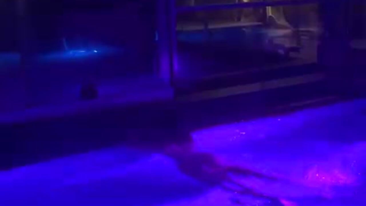 mermaid 🧜‍♀️ - video by PatriciaSpice cam model