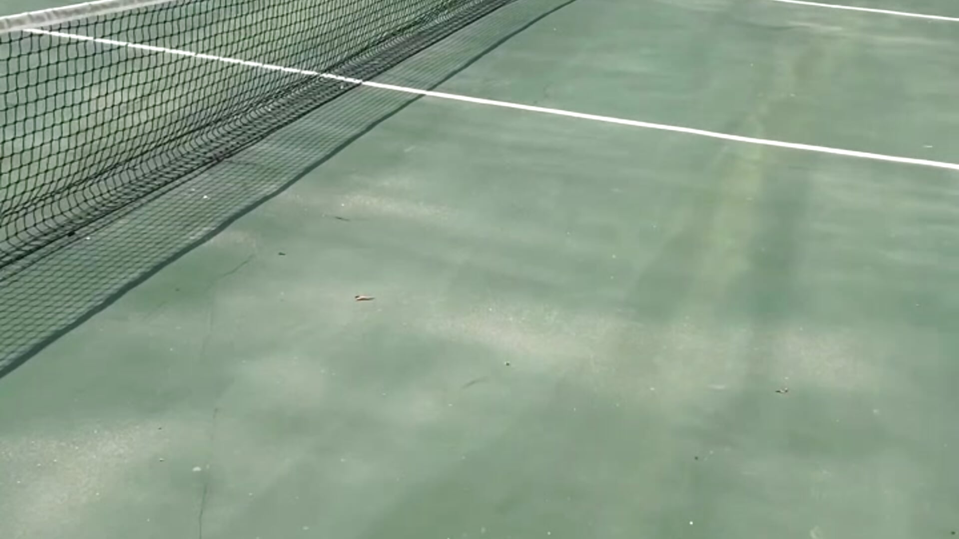 Sunny ☀️ - відео від вебкаммоделі Black-cheri