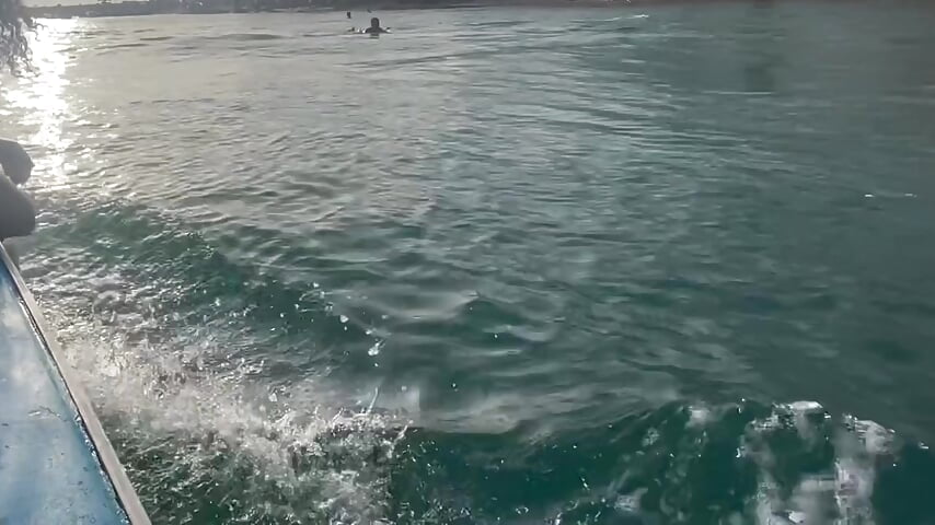 🥸 - video by Ni-_haL01 cam model