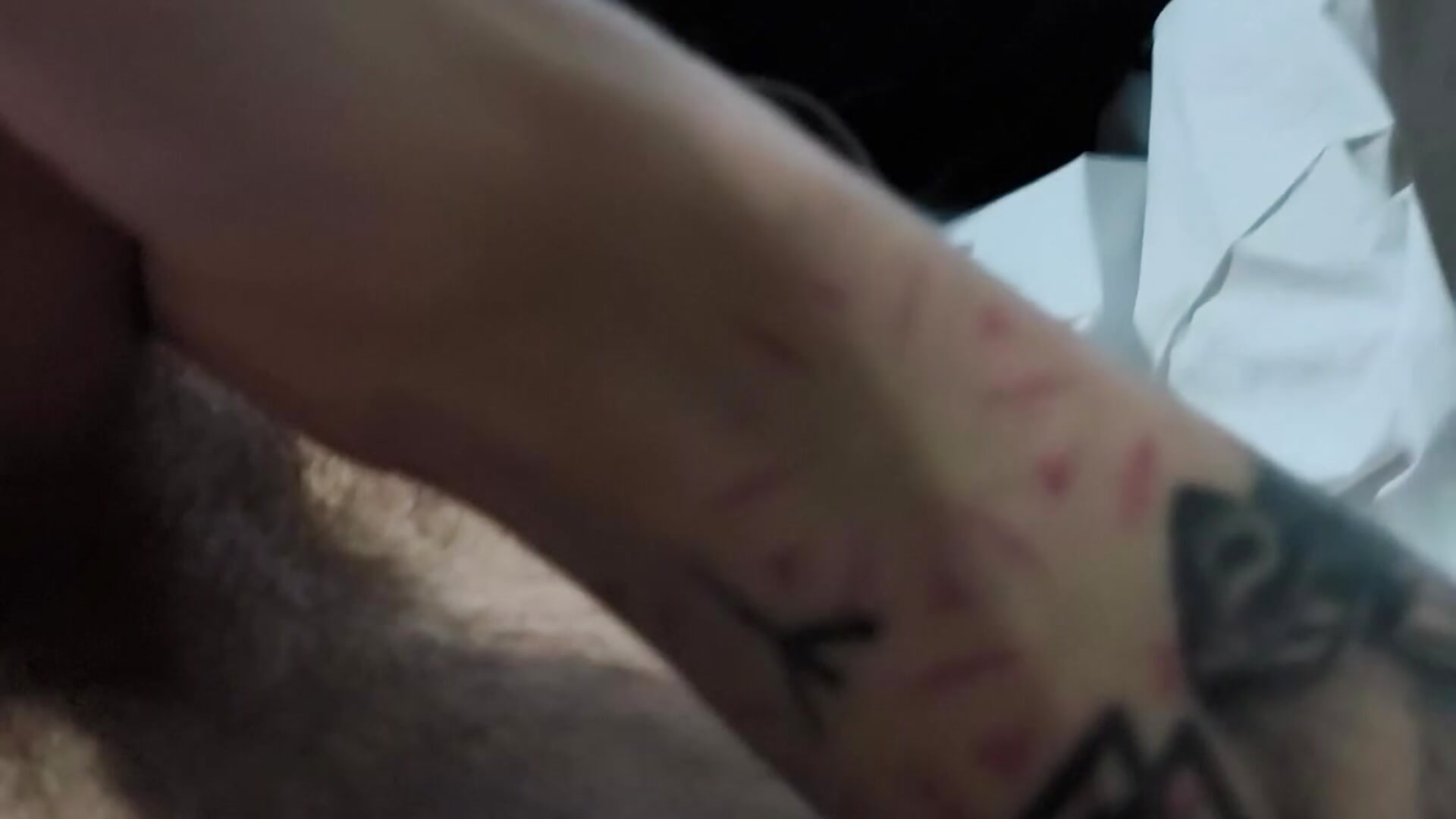 カメラキャストのjimylieさんのトレンドな 2265本の動画