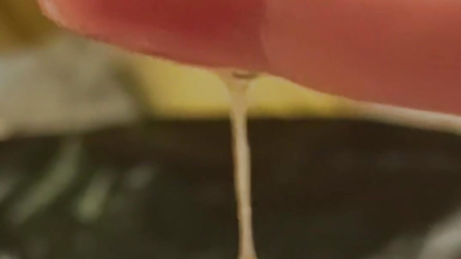 Quickie: You made me wet again - video by mr2vap3z cam model