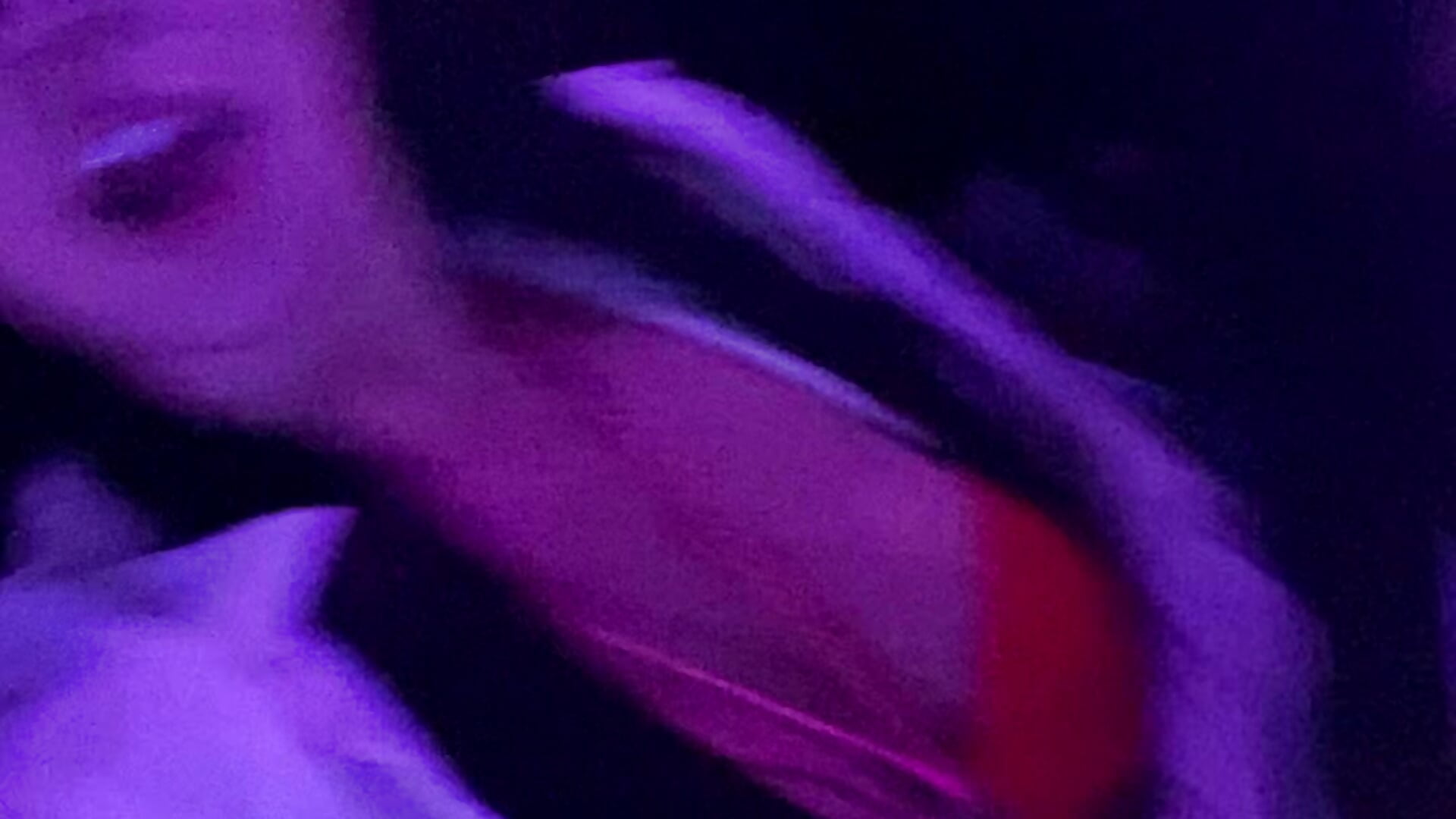 Bad Bunny Concert :)