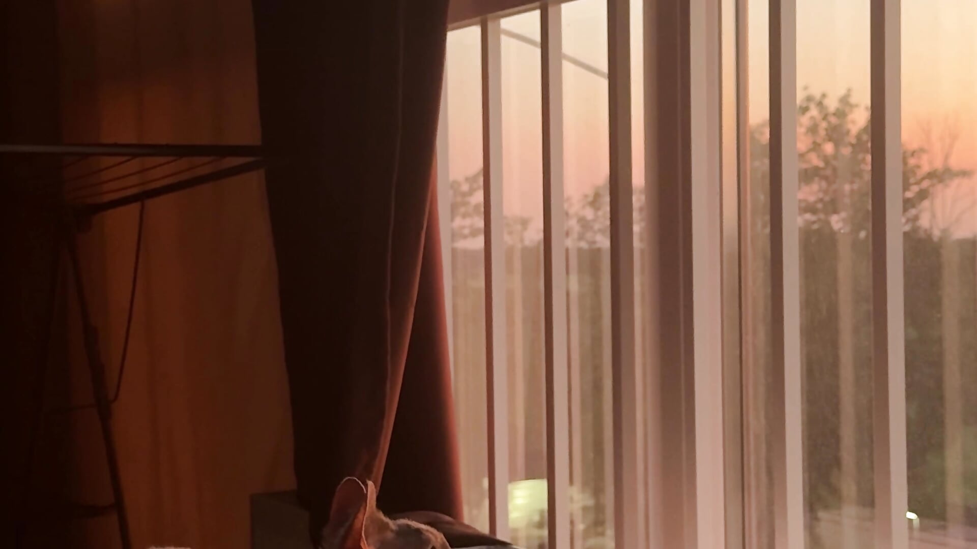 admiring the sunset 🌅 - فيديو من DianaShermy موديل الكام