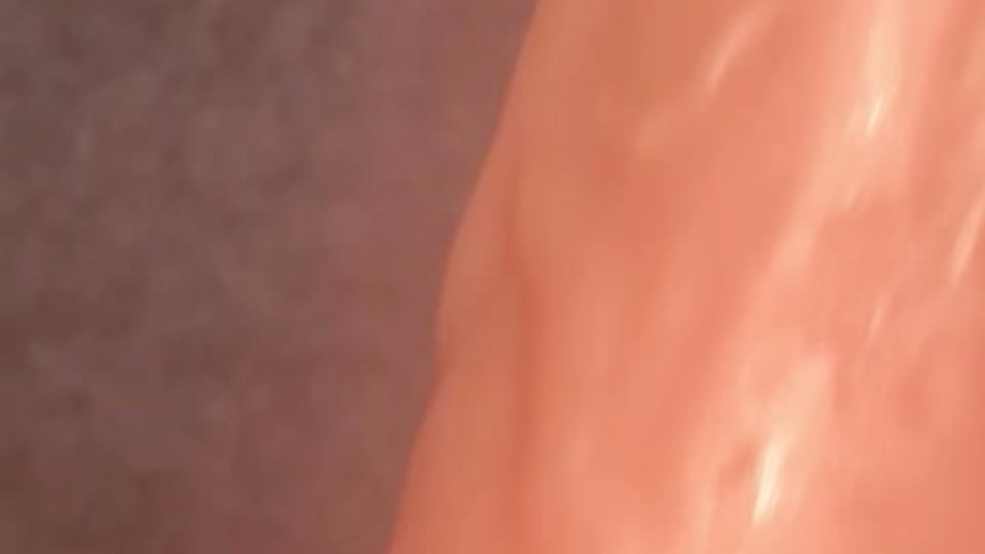 IMG_5505 - video by alibellsex cam model