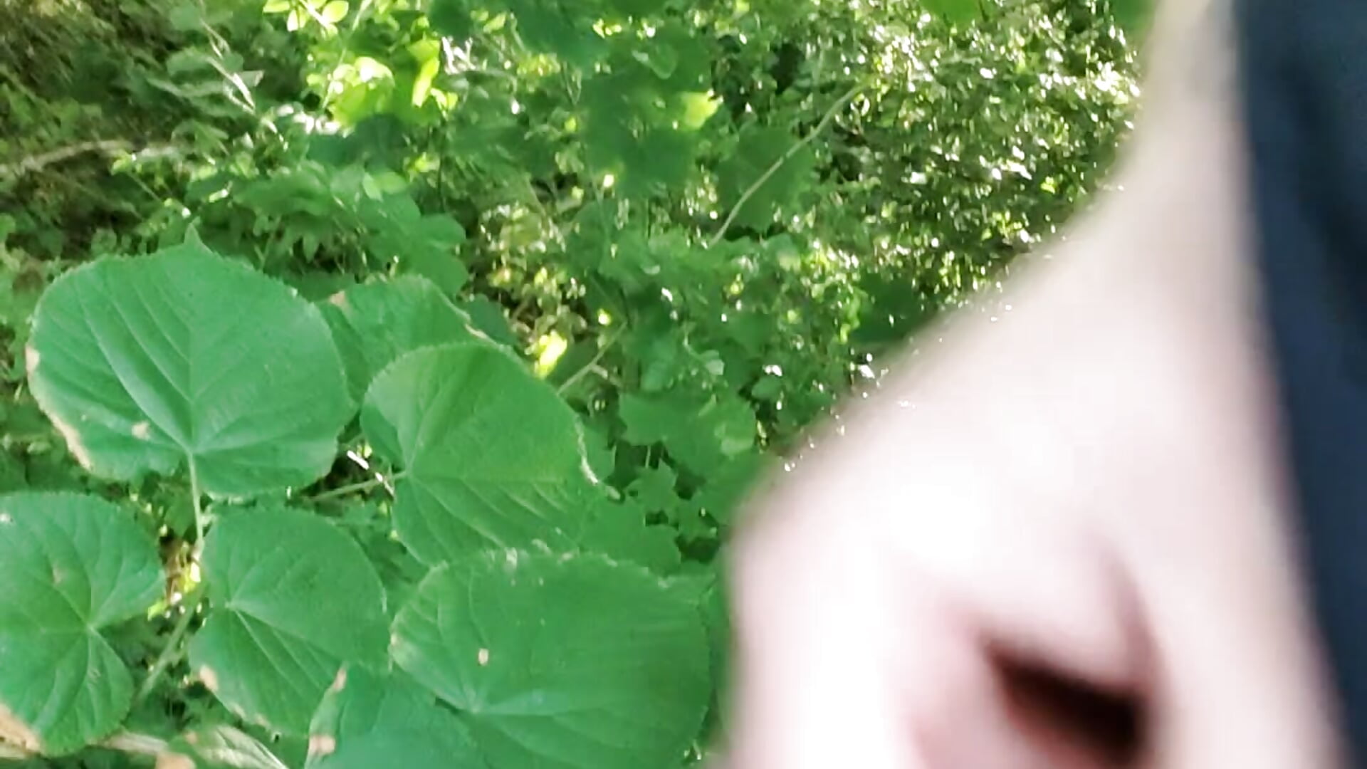 Nahaufnahme 1 - video by bjoernp2000 cam model