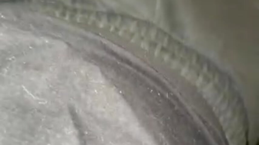 76081243092__1EA116B2-B81B-476E-BF22-5909194D29CB - video by damien020 cam model