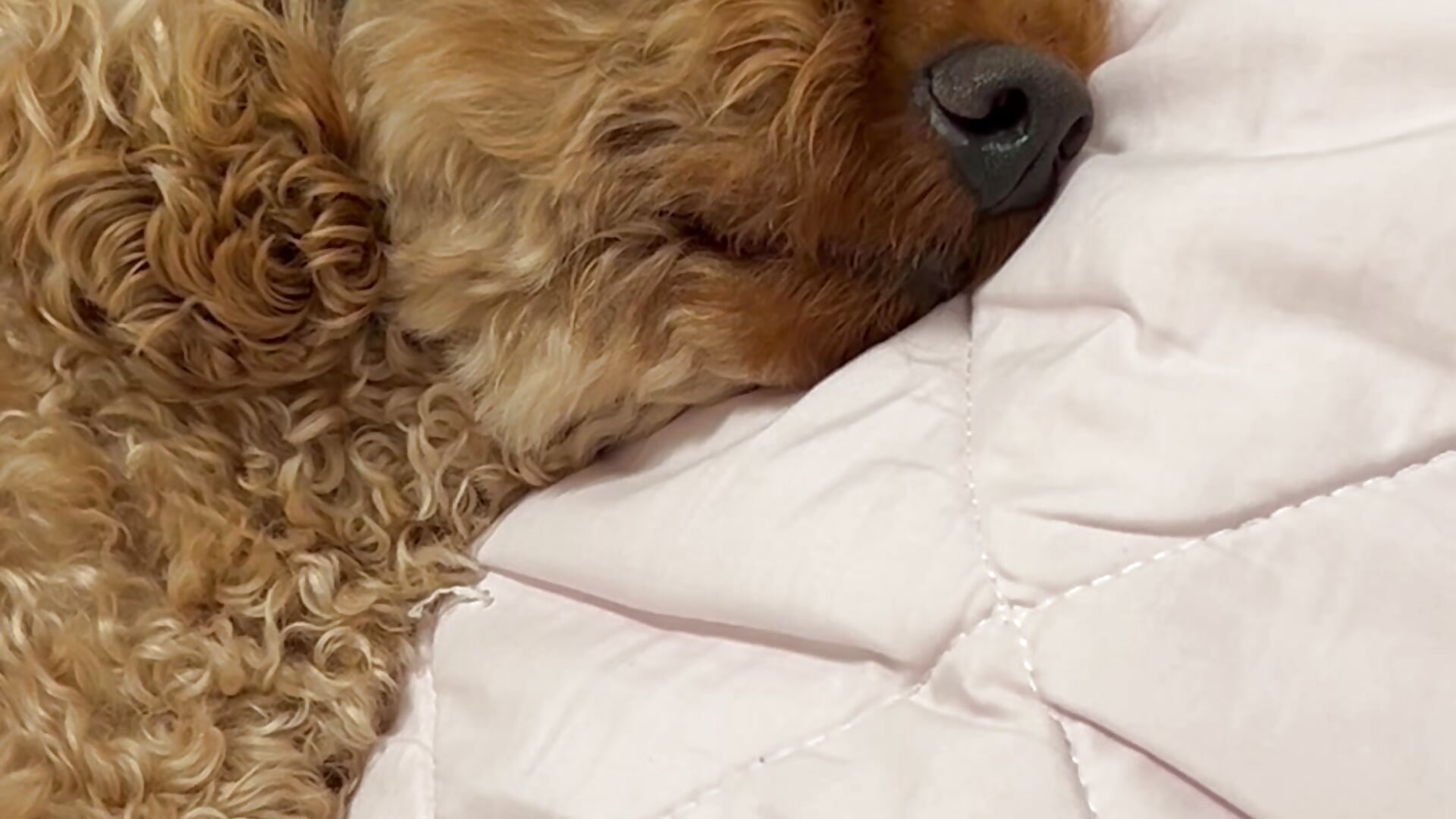 B612_20260426114355 - video by yyAOIyy cam model