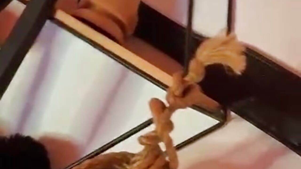 All the fun is here, do you dare?  🔥📸 - video của người mẫu cam AnaChernova