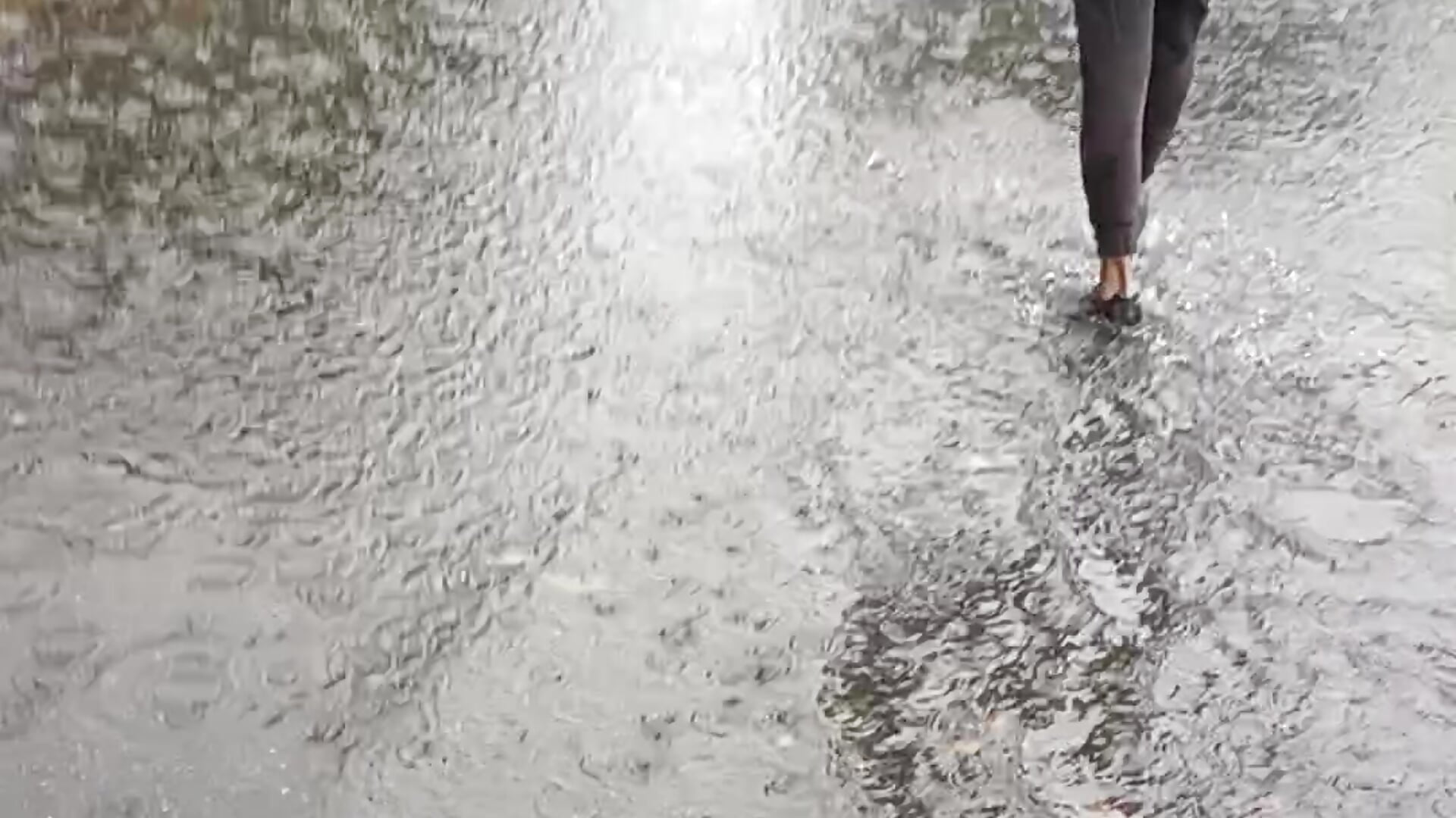 Let's go to the disco - video by Pros100vasyl cam model