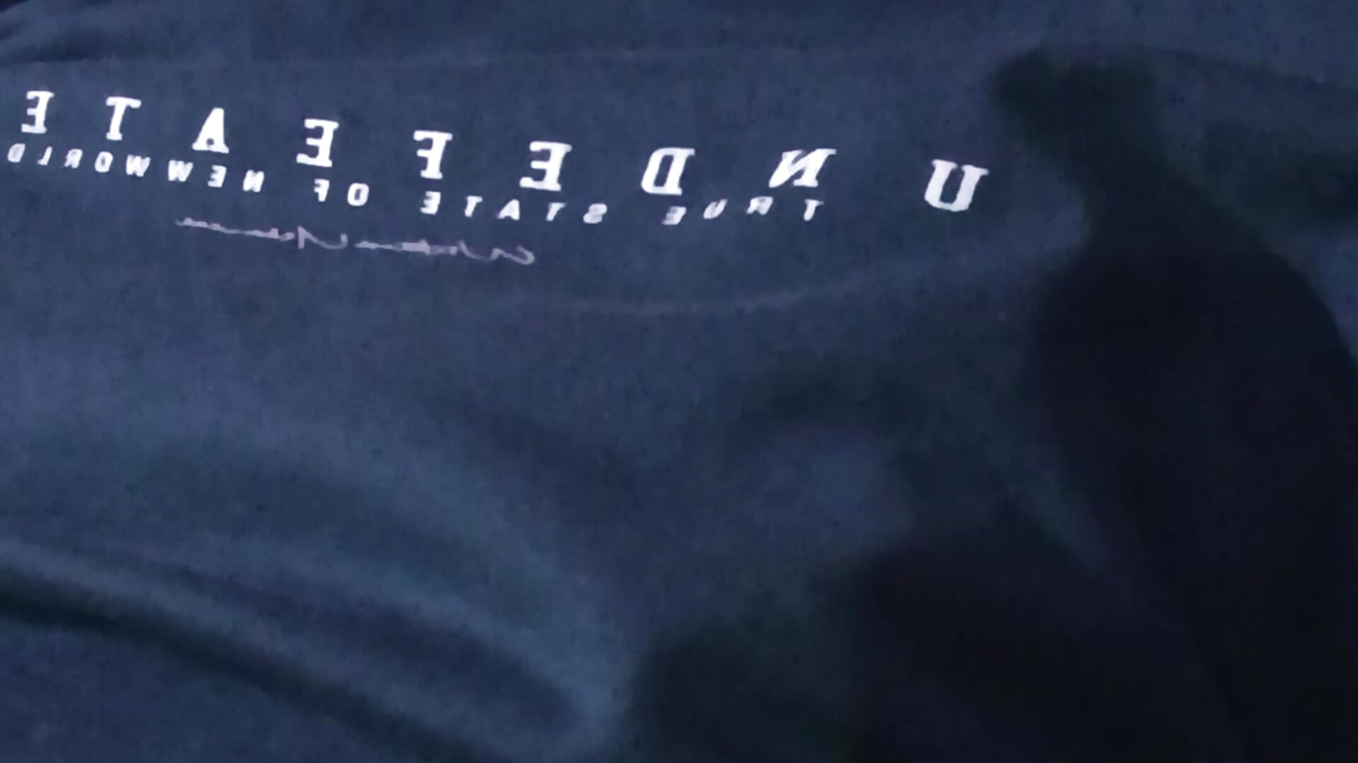 1000002955 - video by indsau cam model