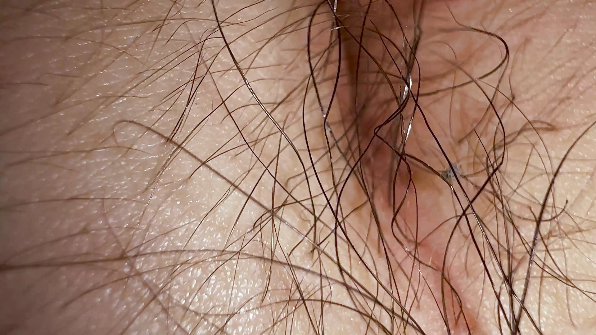 Landing strip and navel - video by Kriss_brunette_5 cam model