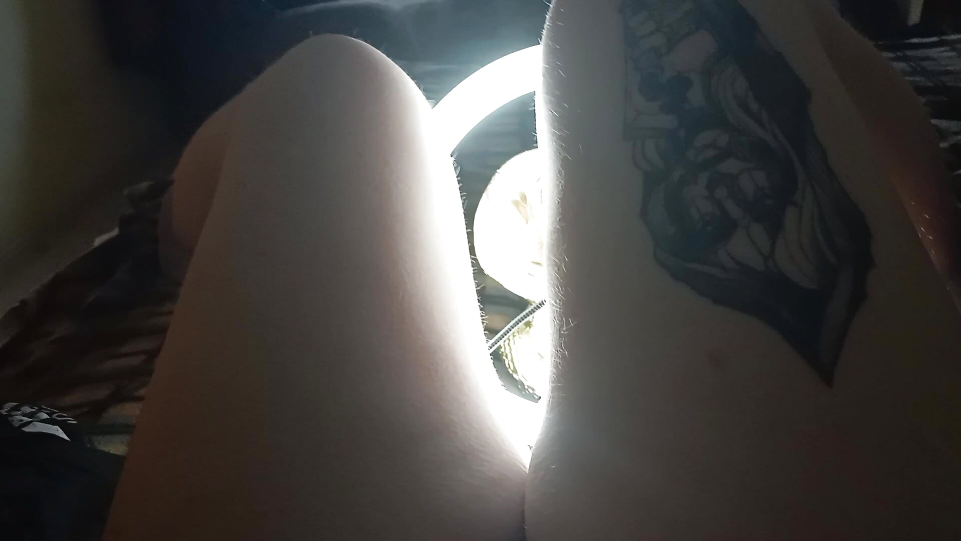 Legs - vídeo de FreshSys