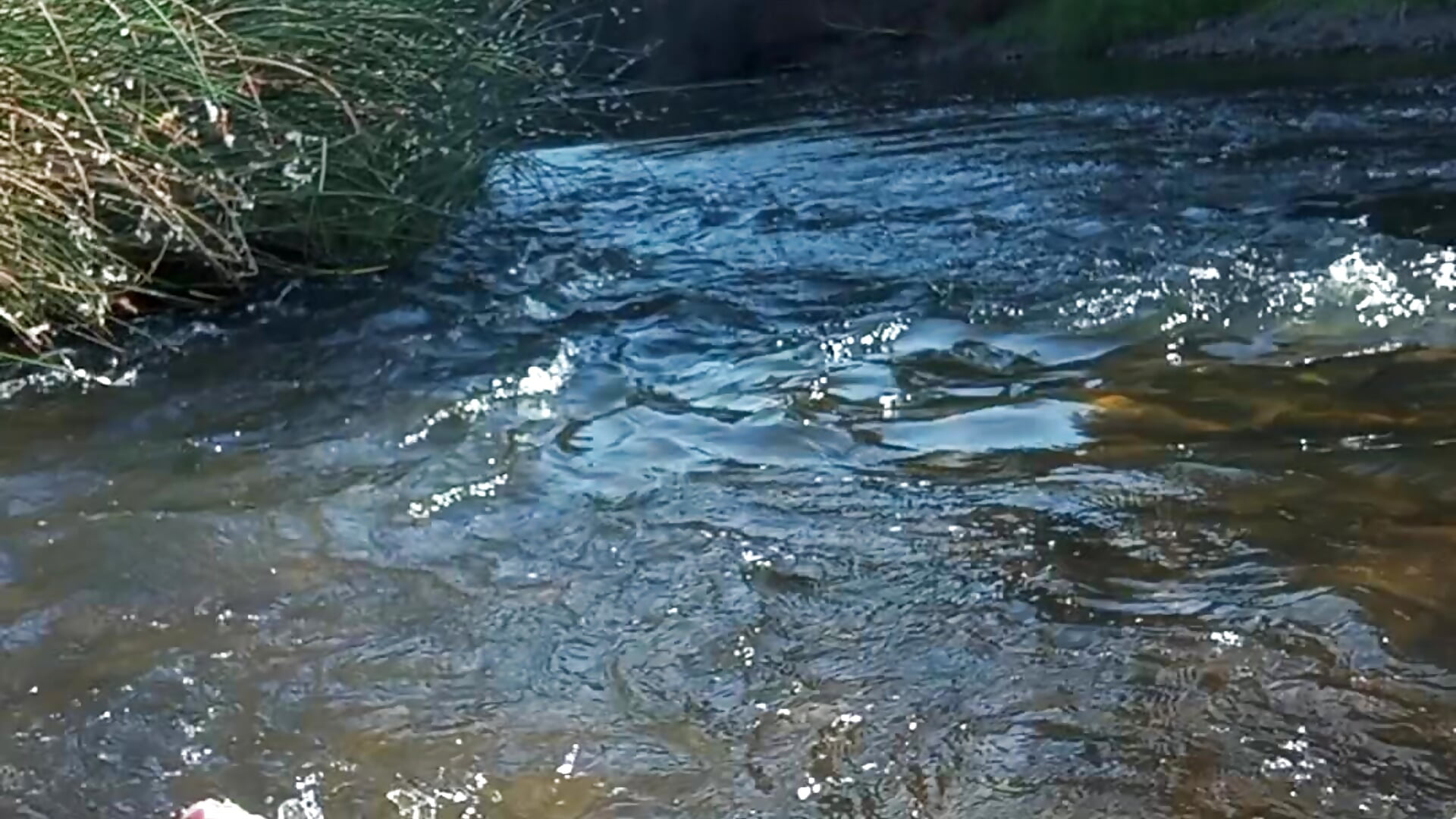 Baños