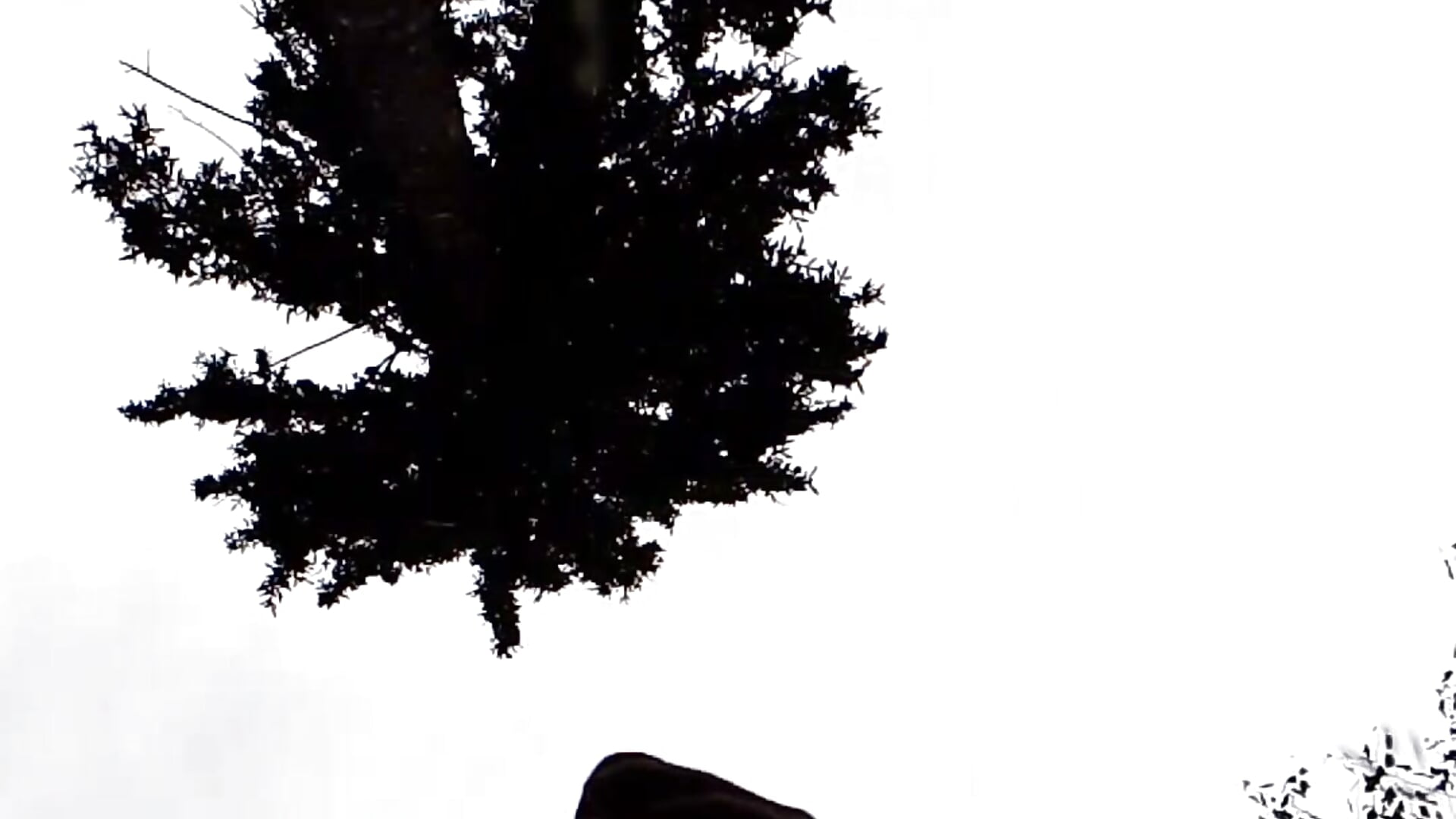 VID_20250731_114343~2 - video van Busi92 cam-model