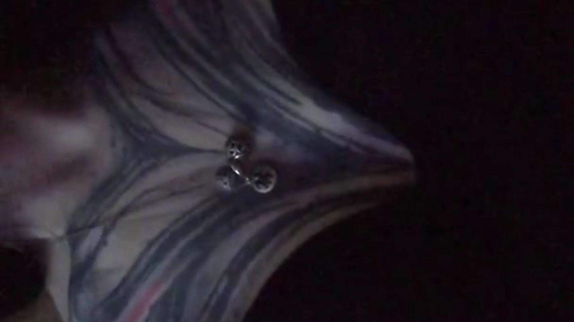 video - RussNocturnal 캠 모델의 동영상