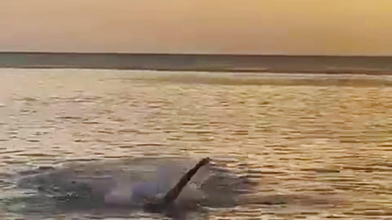 liiam.mp4 - video oleh model kamera Liiamthompson