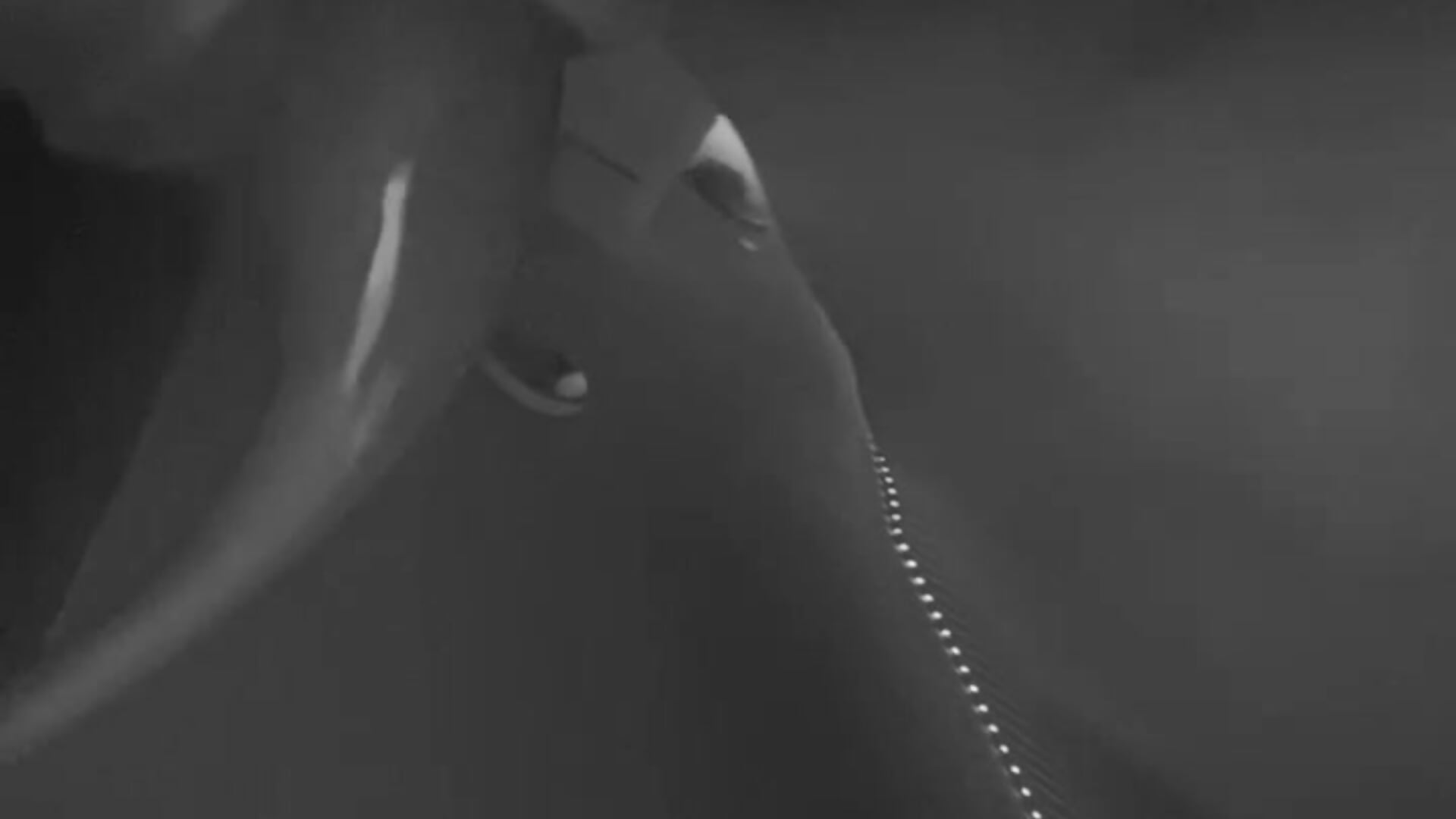 i wish you could taste how sweet my nut is🫦😩🥜 - video oleh DaniJohnson kamera model