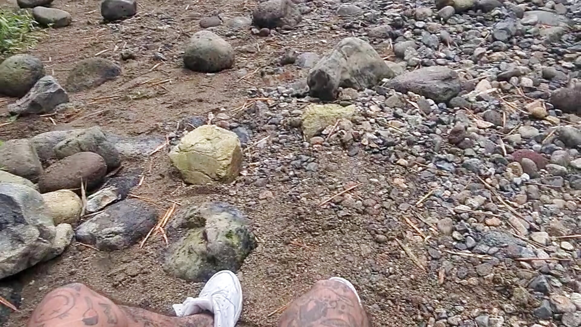 20250329_145128.mp4 - vidéo du modèle de showcams Niick01_