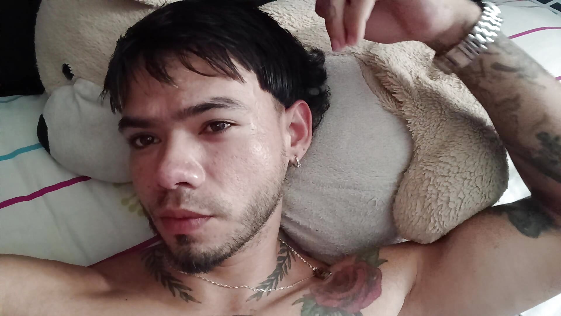 Niick01_ - Cam Modell populära videor 4001