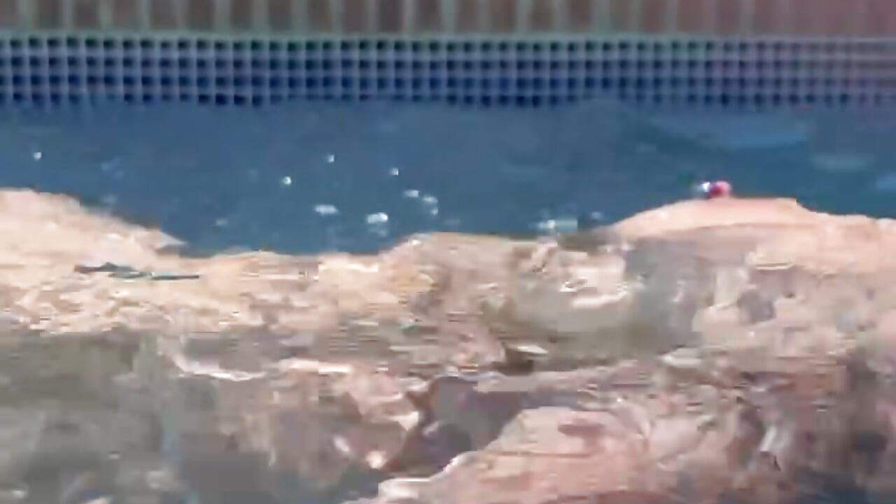 profile-intro-video-1739283367– Orgasmille kameramodell videója