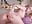 doggy me - Video von Kellybbface Cam-Model