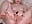 mmmmmmh - Video von Kellybbface Cam-Model
