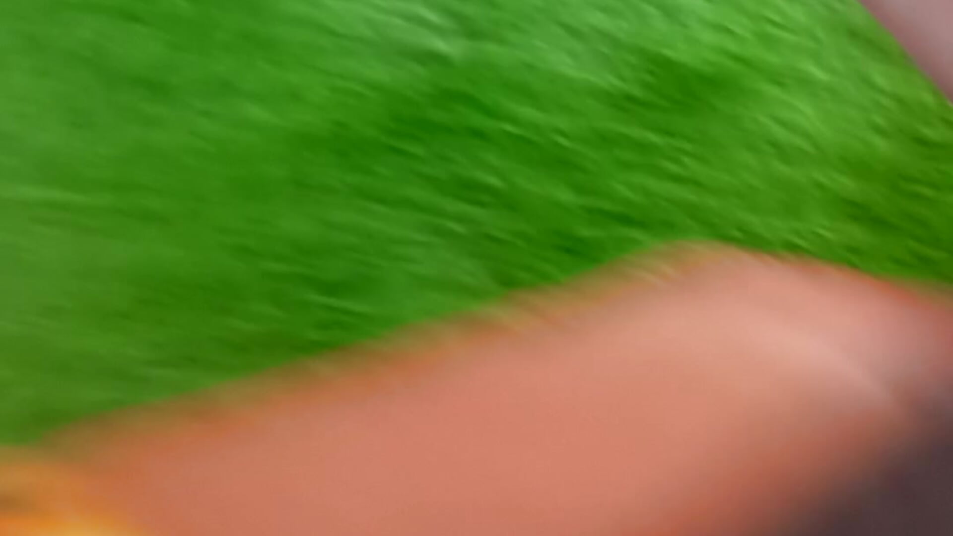 VID20251104125811 - video by Lovepussy10 cam model