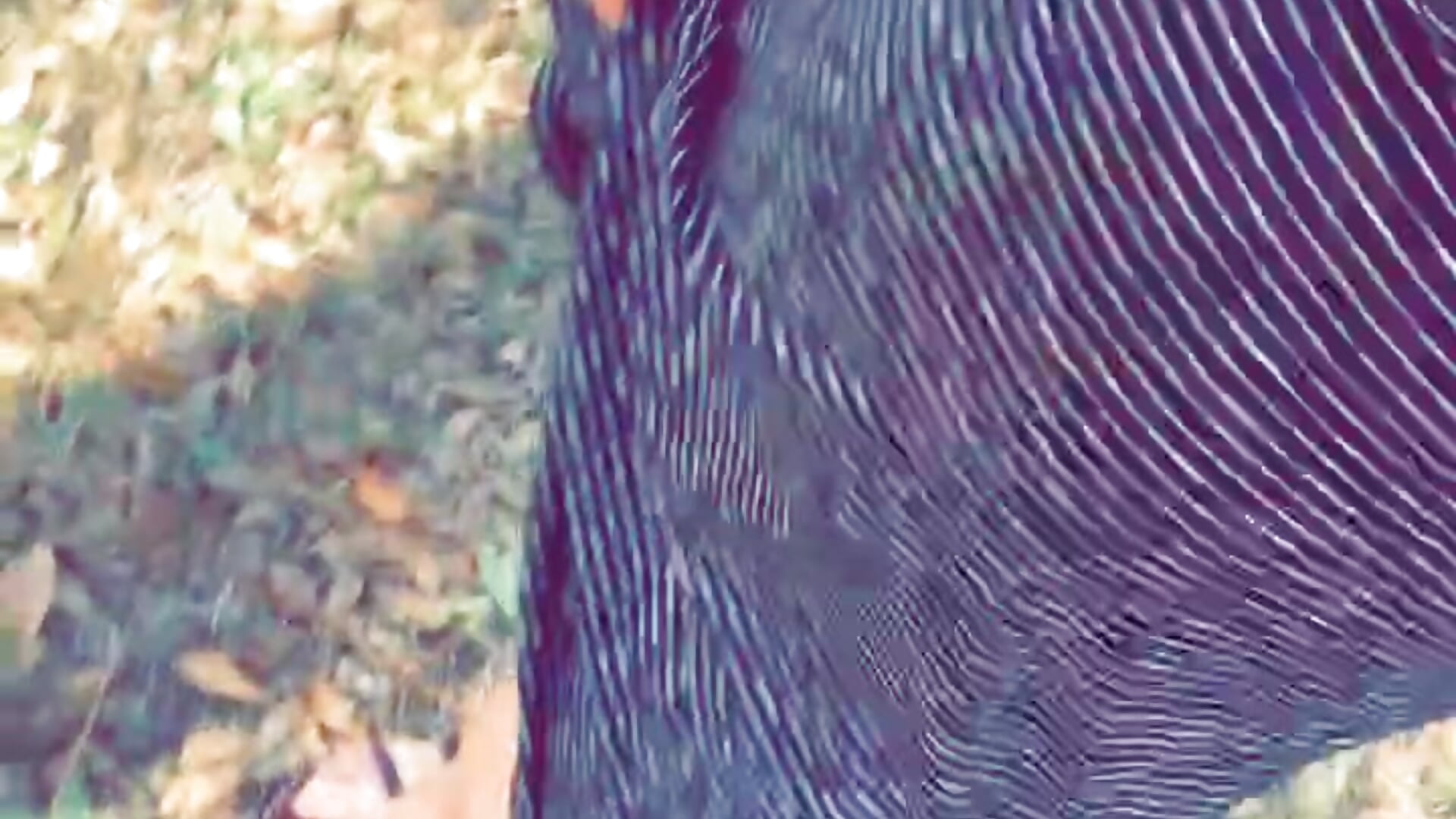 Bjay 💕 - video by bjay_tease cam model