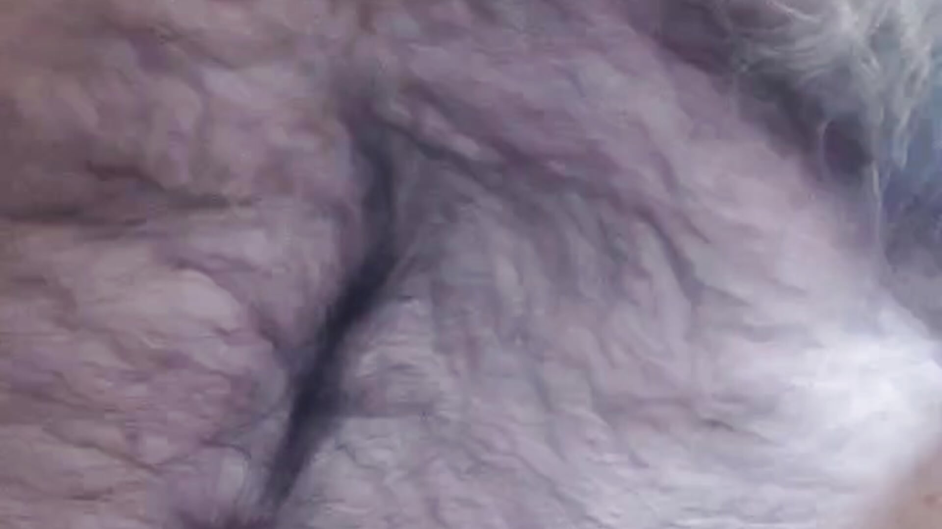 1000081745 - vídeo de la modelo de cam arka6