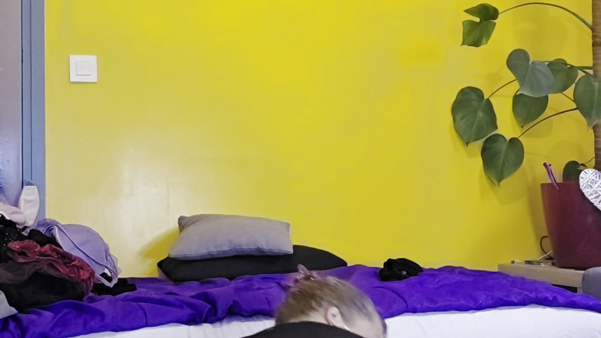 Show ass/ levrette