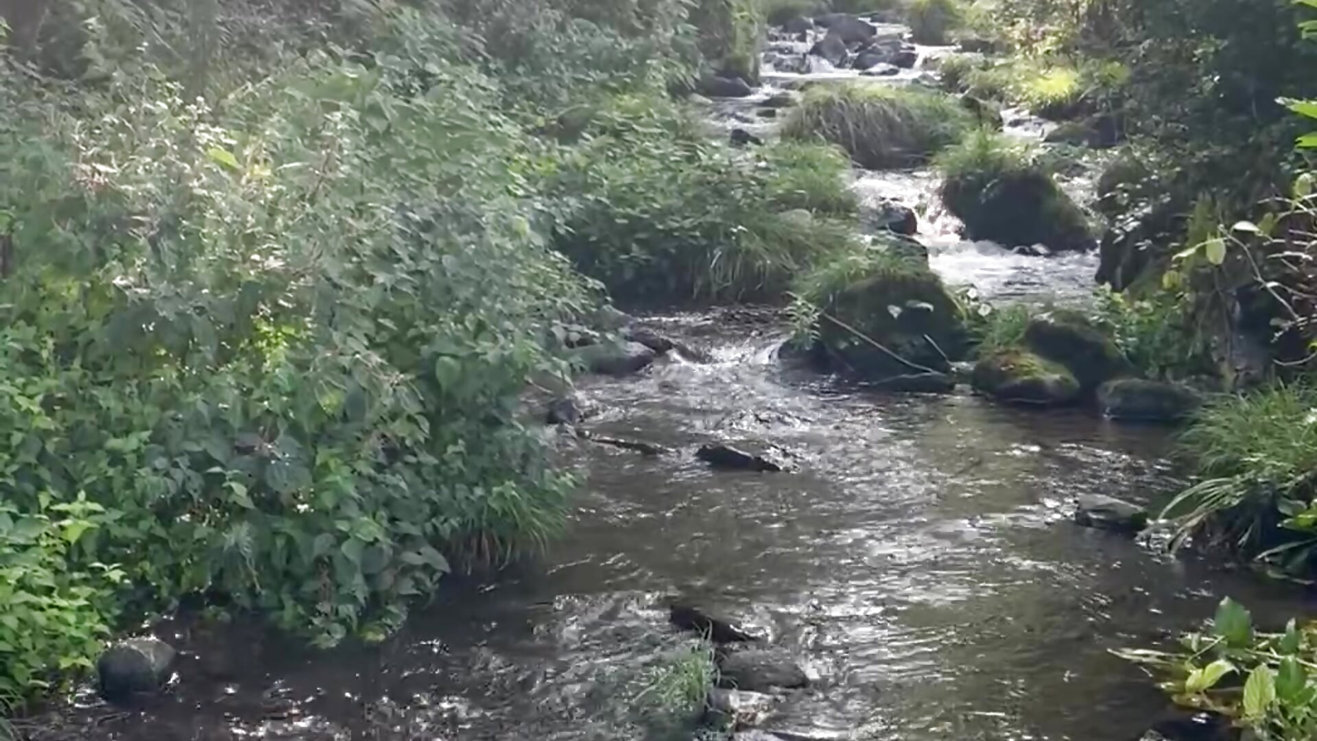 自然が大好き🌿休日はアウトドア派🌿 – video af manato_072 cam-model